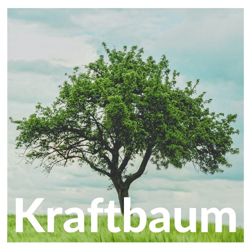 Kraftbaum Kurs